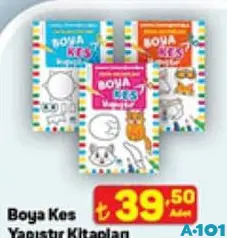 BOYA KES YAPIŞTIR KİTAPLARI